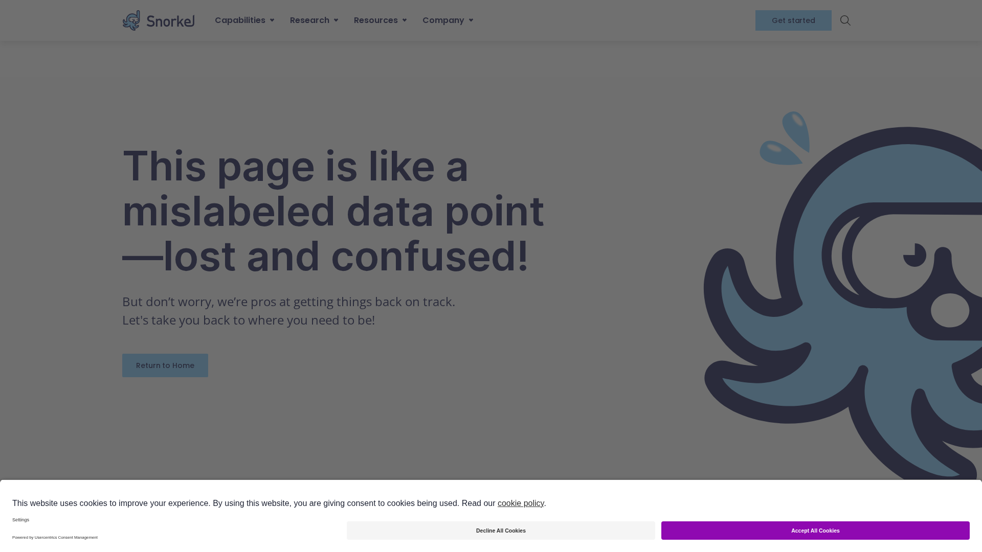 Snorkel AI Screenshot 1