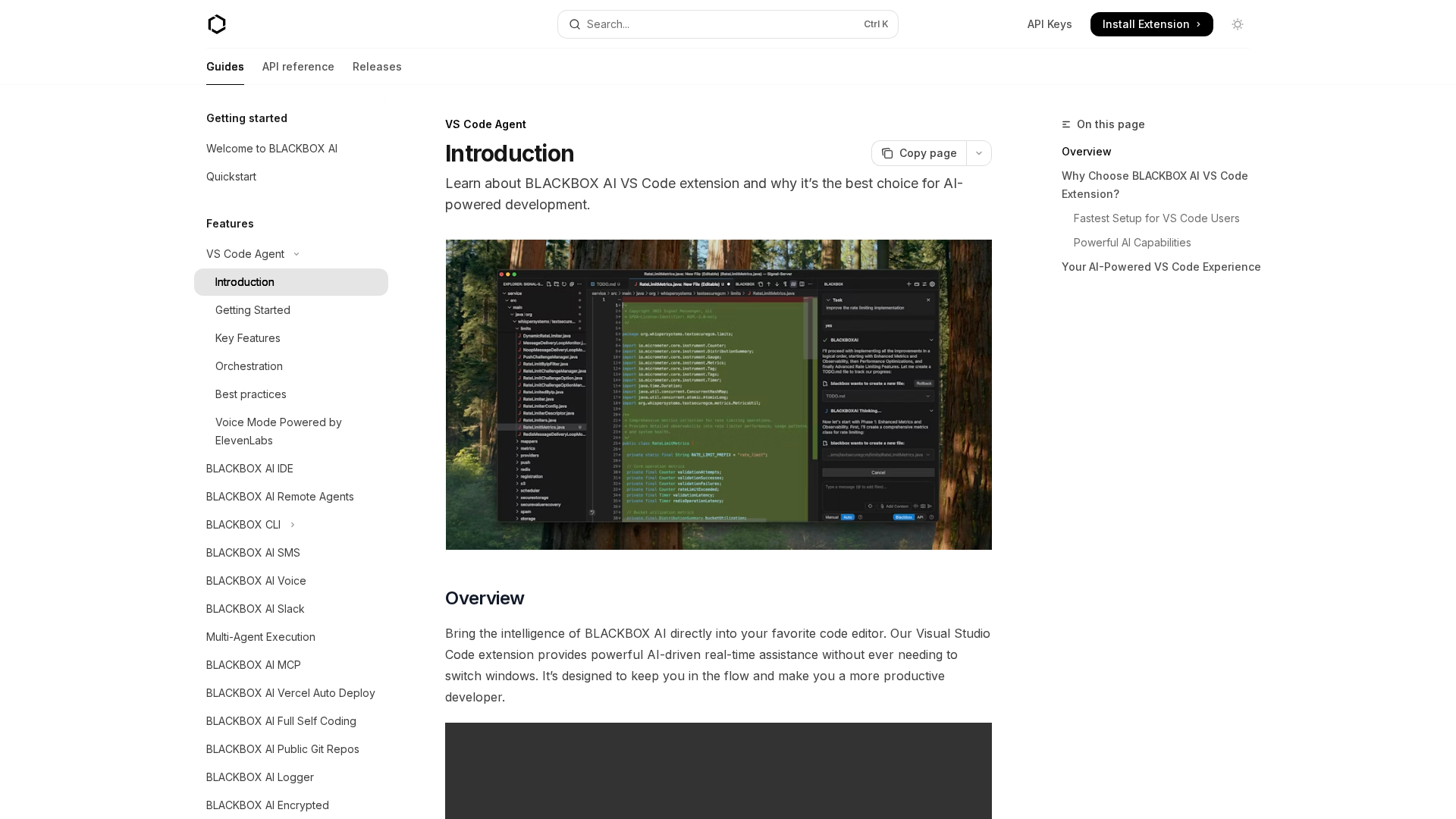 Blackbox.ai Screenshot 1